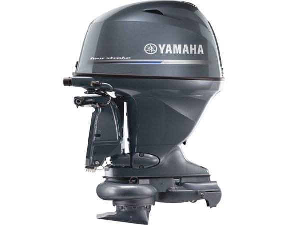 2019 Yamaha 60 HP F60LB Outboard Motor - Image 2