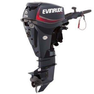 2018 Evinrude E-TEC 25 HP E25DGTL Outboard Motor