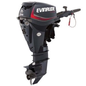 2018 Evinrude E-TEC 25 HP E25DTSL Outboard Motor