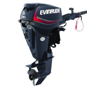 2018 Evinrude E-TEC 25 HP E25GTEL Outboard Motor