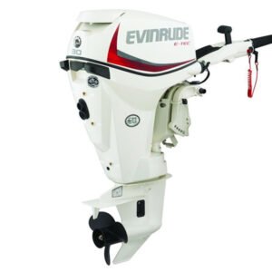 2018 Evinrude E-TEC 30 HP E30DRS Outboard Motor