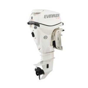 2019 Evinrude 15 HP E15HPGX