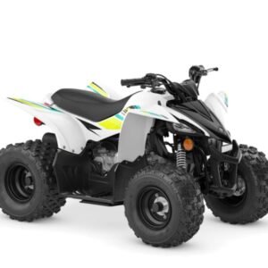 2022 Yamaha Raptor 90 ATV