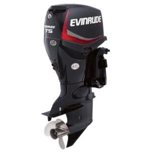 2018 Evinrude E-TEC 60 H.O. E60HGL Outboard Motor
