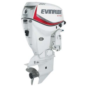 2017 Evinrude 25 HP E25DRGL E-Tec Outboard Motor