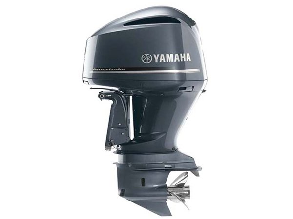 2018 Yamaha F25 Portable Tiller F25LMHC Outboard Motor