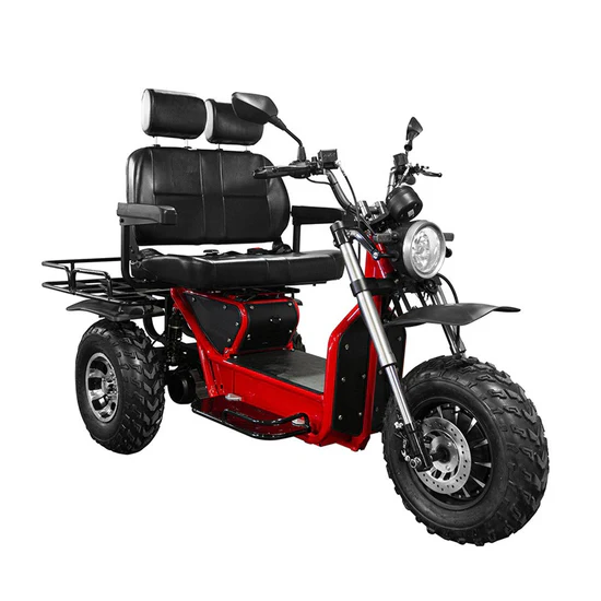 Matrix NEXA 4S-4 Seater Enclosed Scooter