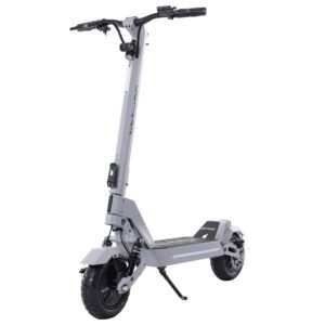 Flex Electric Scooter