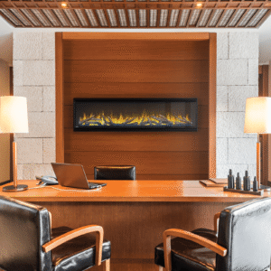 Napoleon CLEARion 50 Inch See Through Electric Fireplace – NEFBD50H