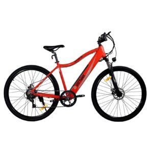 F5 Electric Bike