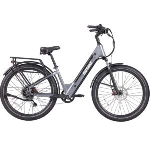 CTI 2 Electric Bike