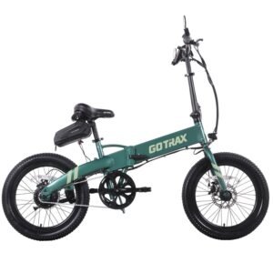 Tundra Electric Bike