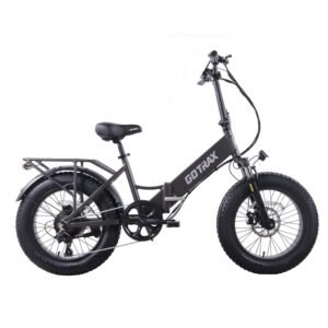 F2 Electric Bike