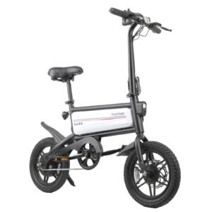 Endura Electric Bike